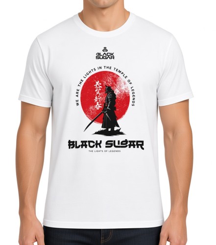 samuraj 3.jpg